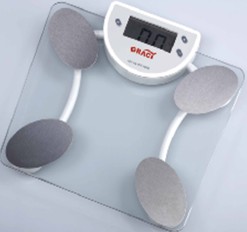 Body fat scale 2004E