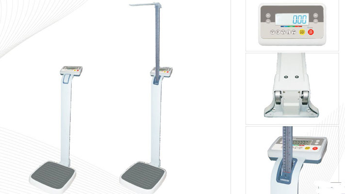 Height scale M301